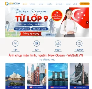 11 Chiến Lược Tạo Dựng Website Tư Vấn Du Học Thu Hút và Chuyển Đổi Khách Hàng | WeSoft.VN