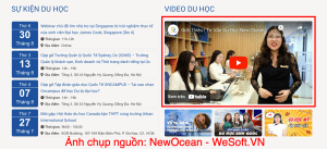 Cung cấp nội dung phong phú và hữu ích