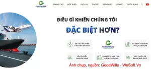 Tăng Cường Hiện Diện Trực Tuyến | WeSoft.Vn