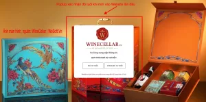 Popup xác nhận độ tuổi | WeSoft.Vn